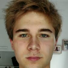 Ray Ping: The Chinese Miner (Rejected Children's Books (Funny Books for  Adults)) : Gosse, Brad: Amazon.in: किताबें