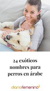 Pin En Perros