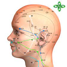 We did not find results for: G20 Akupunkturpunkte