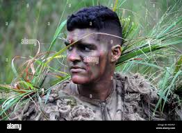 A U.S. Army infantryman assigned to the sniper section of 1st Battalion,  16th Infantry Regiment, 1st Armored Brigade Combat Team, 1st Infantry  Division, fires an M1101A1 Semi-Automatic Rifle at a sniper range
