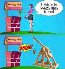 I Wish To Be Irresistible To Men! : R/Trebuchetmemes