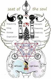 An Up Close Perspective Of My Brain Scan Sacred Geometry Symbols Alchemy Symbols Sacred Geometry