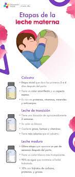 Pin En Guia Practica Para El Desarrollo De Tu Hijo