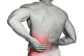 These bony projections are called transverse processes. Blog Causes Of Pain In Your Lower Left Side Of Back