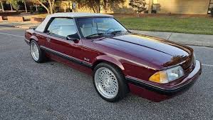 Image result for Medium Cabernet 1988 Tracer