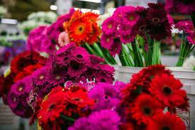 Check spelling or type a new query. The Ultimate Guide To The Los Angeles Flower District Petal Republic