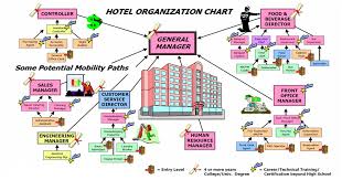 Management Information Systems Assignment Organizational Chart