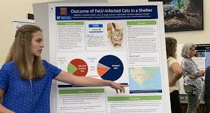 The trusted animal shelter for pet owners in sugar land & houston, tx. Study Outcome Of Felv Infected Cats In A Large Pet Adoption Program Maddie S Shelter Medicine Program College Of Veterinary Medicine University Of Florida