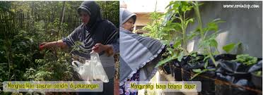 Memanfaatkan perkarangan rumah untuk berkebun oleh : Ide Hebat Tambahan Penghasilan Dari Rumah Melalui Optimalisasi Pekarangan Evrinasp
