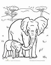Printable mom and baby elephant coloring pages. Color The Elephant Family Worksheet Education Com Elephant Drawing Elephant Coloring Page Elephant Family