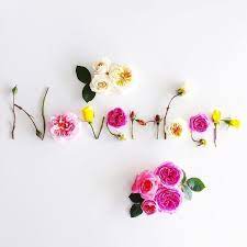 A Day Shy But Never Too Late With Great Anticipation I Say Welcome November It Has Been A Mighty Long Wait Welcome Flower Words Flower Art Flower Quotes