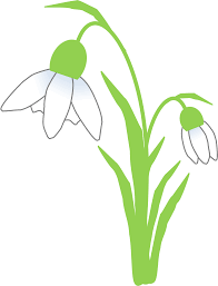 Image result for ghiocel