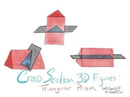 10 Math Cross Sections Worksheet 7thgrademathcrosssectionsworksheets In 2020 Worksheets Math