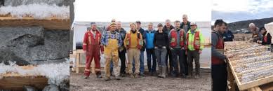 Image result for Harvest Gold 1983 Tappan