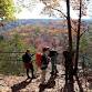 Fall Foliage Tree ID Hike event image