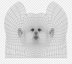 Sphere Geographic Coordinate System Latitude Cartesian Coordinate System Mesh Texture Face Monochrome Png Pngegg Procedurally generate a sphere mesh. sphere geographic coordinate system