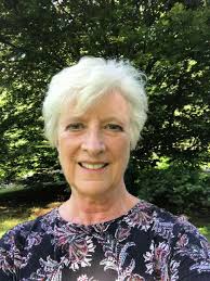 Elaine Matto: Democrat, candidate for state House 113th District