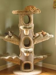Best of all, its so pretty. Nother Cat Tree Cat Tree Cat Furniture Crazy Cats