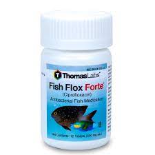 Fish Flox Forte Ciprofloxacin 500 Mg Tablets 12 Count Skin Ulcer Fish Antibiotics Dna Repair