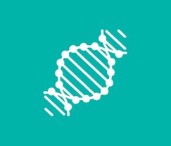 Although als is incurable and fatal, with median survival of 3 years, treatment can extend. What Is Als Als Society Of Canada