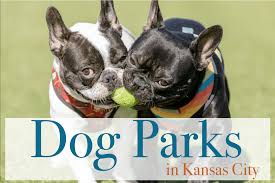 When an at large animal is picked up, it is taken to the lawrence humane society. Dog Parks In Kansas City Complete List Ipetskc