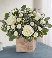 We did not find results for: Same Day Flowers Same Day Delivery 1 800 Flowers Com