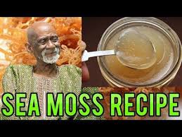 Dr Sebi How To Prepare And Store Sea Moss Youtube Sea Moss Dr Sebi Dr Sebi Recipes Alkaline Diet