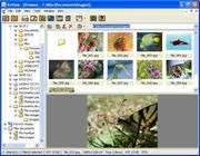 Xnview mp/classic is a free image viewer to easily open and edit your photo file. Xnview Http Www Xnview Com Free Download Borrow And Streaming Internet Archive