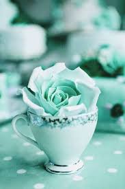 Pin By Emmy On A World Of Color Mint Green Aesthetic Mint Green Wallpaper Mint Aesthetic Find & download free graphic resources for flower pastel.