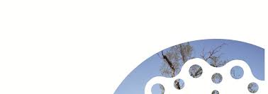 February 2021 FINAL BASIC ASSESSMENT REPORT FOR THE PROPOSED CONSTRUCTION  OF A DAM FOR THE STORAGE OF WATER VAALWATER AREA LEP