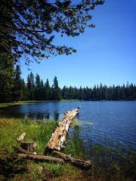 Rucker Lake Campground Tahoe National Forest Tahoe Lake View Lake
