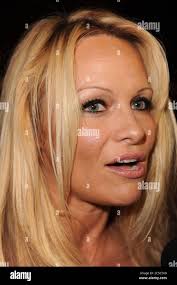 Tommy lee and pamela anderson -Fotos und -Bildmaterial in hoher Auflösung