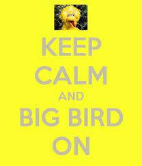 Romney Vs Big Bird Internet Defends Scorned Muppet Big Bird Internet Funny Muppets