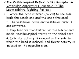 Reflexes Present In Infants | Ppt