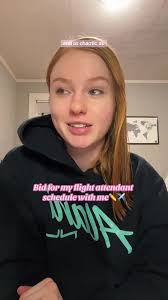 American Airline Flight Attendant Bid Day