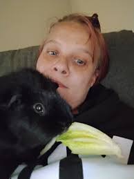 Home needed for rescue pigs