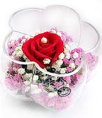 Many people find flower pictures very difficult to look. 1 Red Rose Delivery China Send One Rose China Beautiful Love