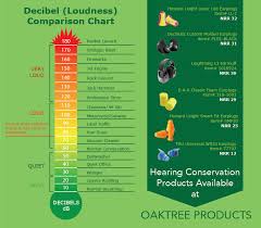 Hearing Conservation Resource