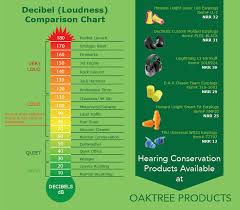 daily noise exposure levels