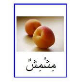 Imagier Les Fruits Apprendre L Arabe Langue Arabe Etiquettes Scolaires