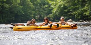 We did not find results for: Things To Do In The Smoky Mountains Area 100 Top Activities