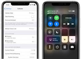 Here S How New Iphones Will Support Dual Sim Feature With E Sim Gadgets To Use