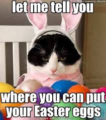Happy Easter Everyone Easter Humor Easter Cats Funny Cat Memes