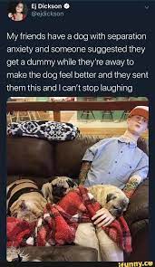 It is a beautiful sign that your baby associates pleasure separation anxiety is pretty easy to spot, and you're probably reading this section because you've identified it in your baby. My Friends Have A Dog With Separation Anxiety And Someone Suggested They Get A Dummy While They Re Away To Make The Dog Feel Better And They Sent Them This And I Can T