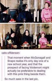 The professor, who was responsible for inflicting restrictive rules to students of hogwarts, torturing students, and banning the use of magic in class, was definitely not liked by fans, especially. You Can T Sit With Us Umbridge Harry Potter Memes Facebook