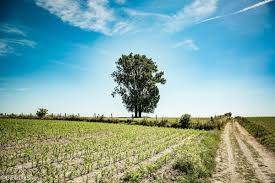 Landschap met bomen en een huis from same collection. Pin Op Landschapsfotografie