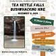 2025 Fall Tea Kettle Falls Bushwhacking Adventure Hike event image