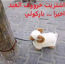 Maybe you would like to learn more about one of these? Ù…Ù†Ø´ÙˆØ±Ø§Øª Ù…Ø¶Ø­ÙƒØ© Ø¹Ù† Ø¹ÙŠØ¯ Ø§Ù„Ø§Ø¶Ø­Ù‰ ØµÙˆØ± Ù…Ø¶Ø­ÙƒØ© Ø¹Ù„Ù‰ Ø®Ø±ÙˆÙ Ø§Ù„Ø¹ÙŠØ¯ ØµÙ‚ÙˆØ± Ø§Ù„Ø¥Ø¨Ø¯Ø¢Ø¹
