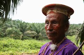 Palm Oil: Unhealthy For You And The Amazon