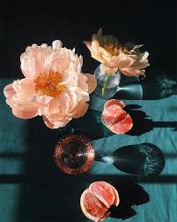 Check spelling or type a new query. Poppies Posies